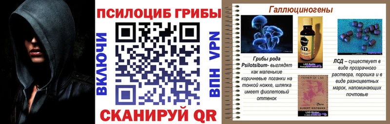 Галлюциногенные грибы Psilocybine cubensis как найти закладки Егорьевск